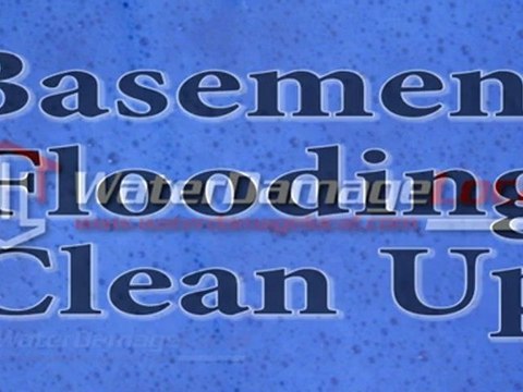 Bellaire Basement Flooding Clean Up