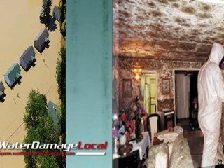 Bellaire Flood Clean Up