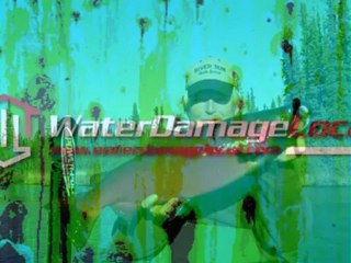 Bellaire Flooded Basement