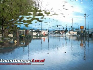 Bellaire Water Damage Company
