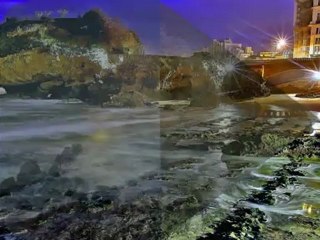 Löhstana David - Plante bleue