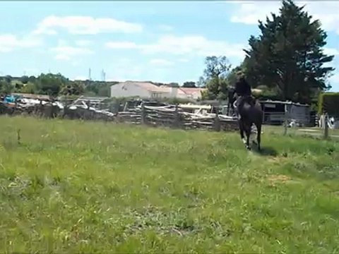 tango des granges - plat mzin gauche