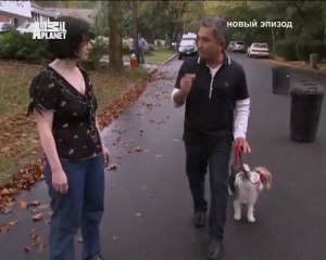 079-Переводчик с собачьего 2008