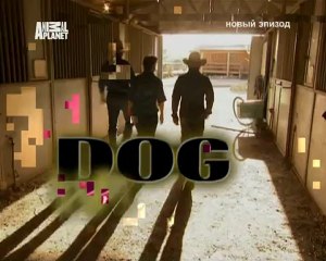 062-Переводчик с собачьего 2007