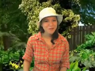 Birding Pole Top w/ Round Flange for Bird Pole System Review