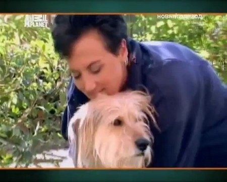 074-Переводчик с собачьего 2008