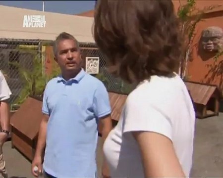 076-Переводчик с собачьего 2008