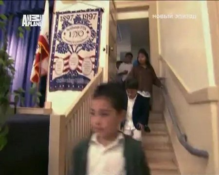 090-Переводчик с собачьего 2008