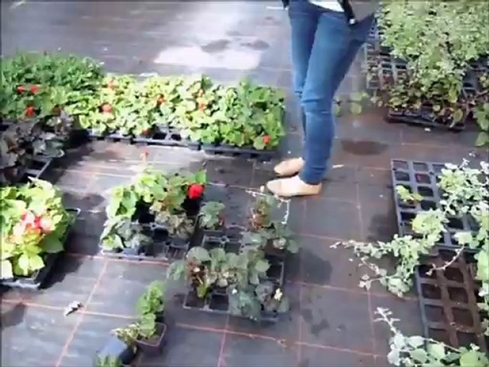 La formation fleuriste