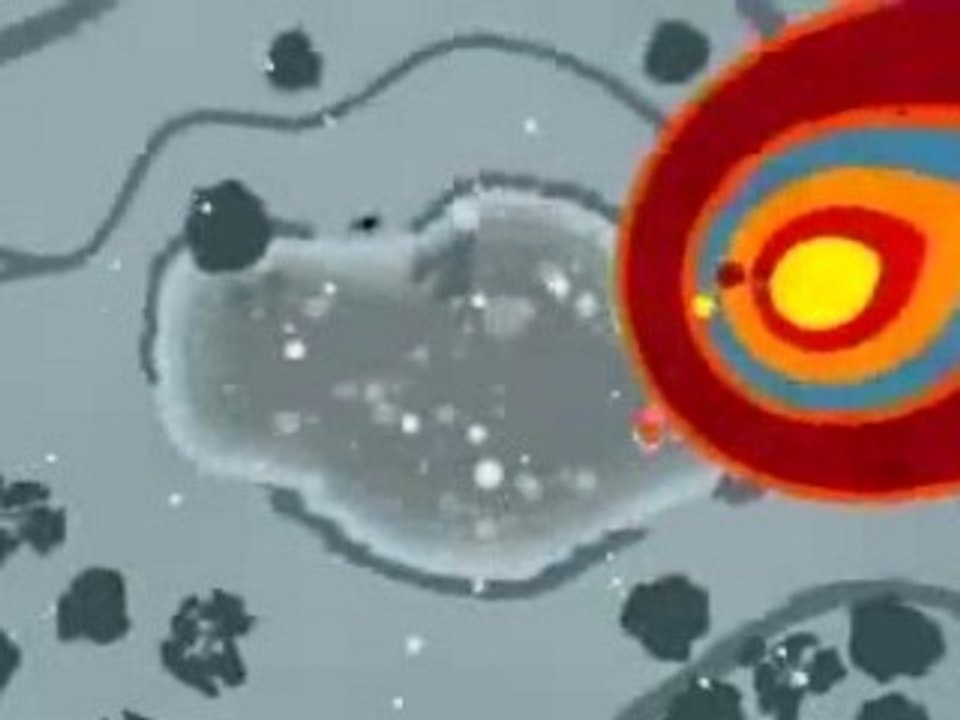 All the ducks ... ;-))