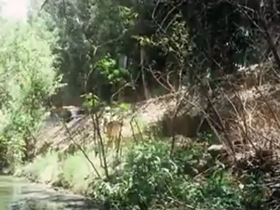 The Master Movie