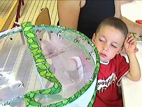 Une charte pour les ATSEM - TLSV Luçon - tlsv.fr