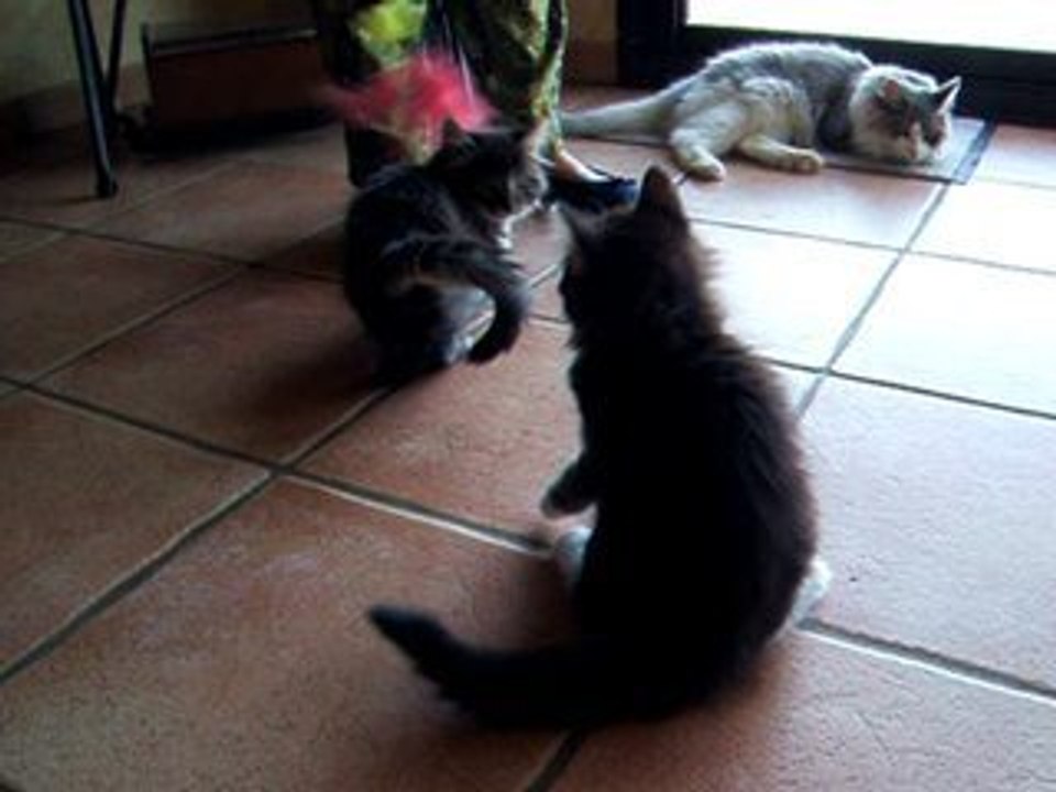 21-24 septembre 2006