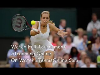 June 2012 ATP Final Match