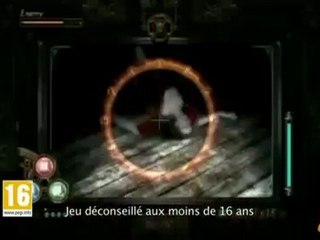 [Pubs] Project Zero 2_ Wii Edition