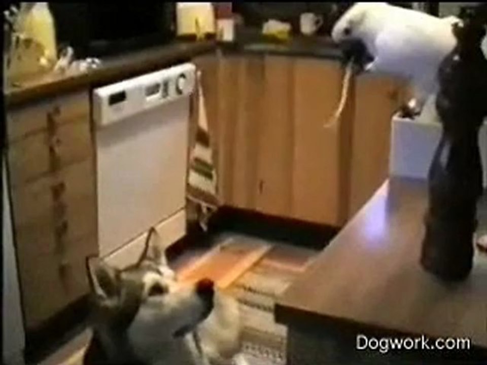 Spaghetti Night(2)