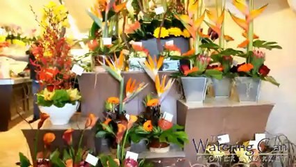 Florist Shipman St Catharines Watering Can The