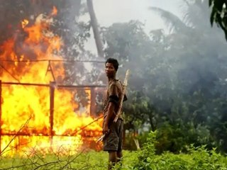 Suu Kyi calls to amend Myanmar constitution