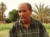 Maroc: l'oasis d'Errachidia menacée par la surexploitation d'eau