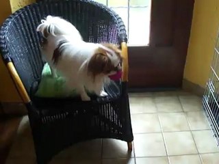 JE JOUE AVEC LES GRANDS 001