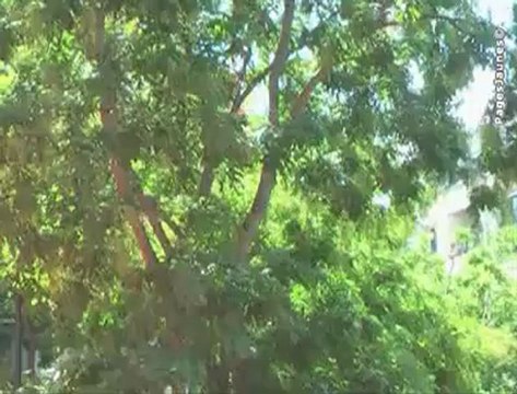 Sergio, 32 rue Pierre Brossolette 92300 Levallois Perret