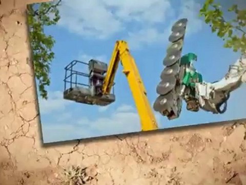 Mike's tree work - (727)395-9730