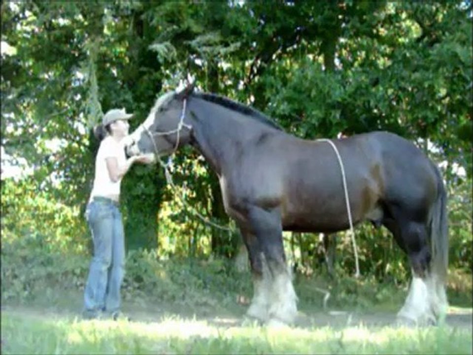 POLEN