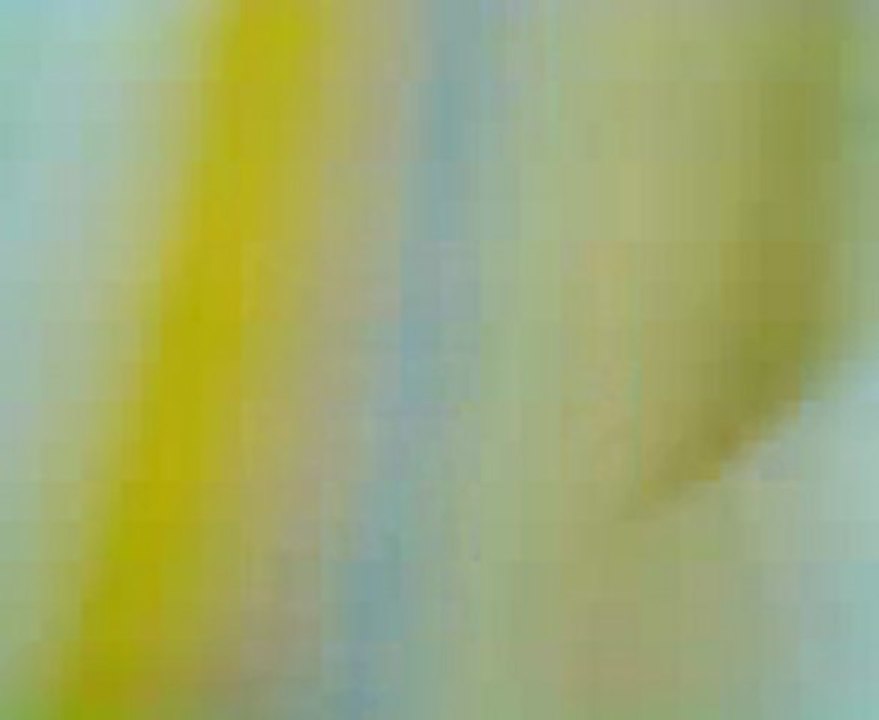 PAQUET BULLETINS FRAUDULEUX RD CONGO 2011 Video0000