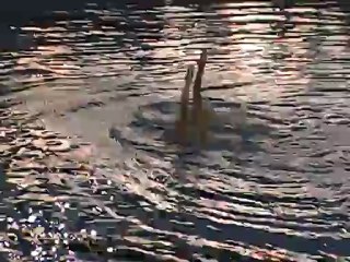 2012 France Espoirs National - Duo - Strasbourg