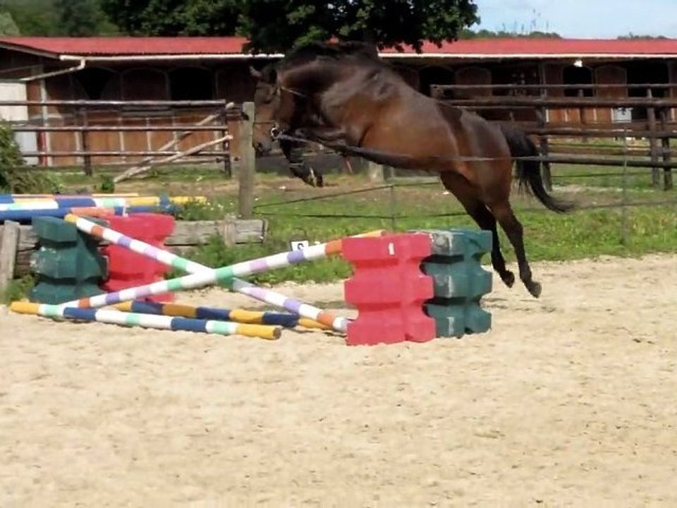 Voila'tou juin 2012 (3 ans)