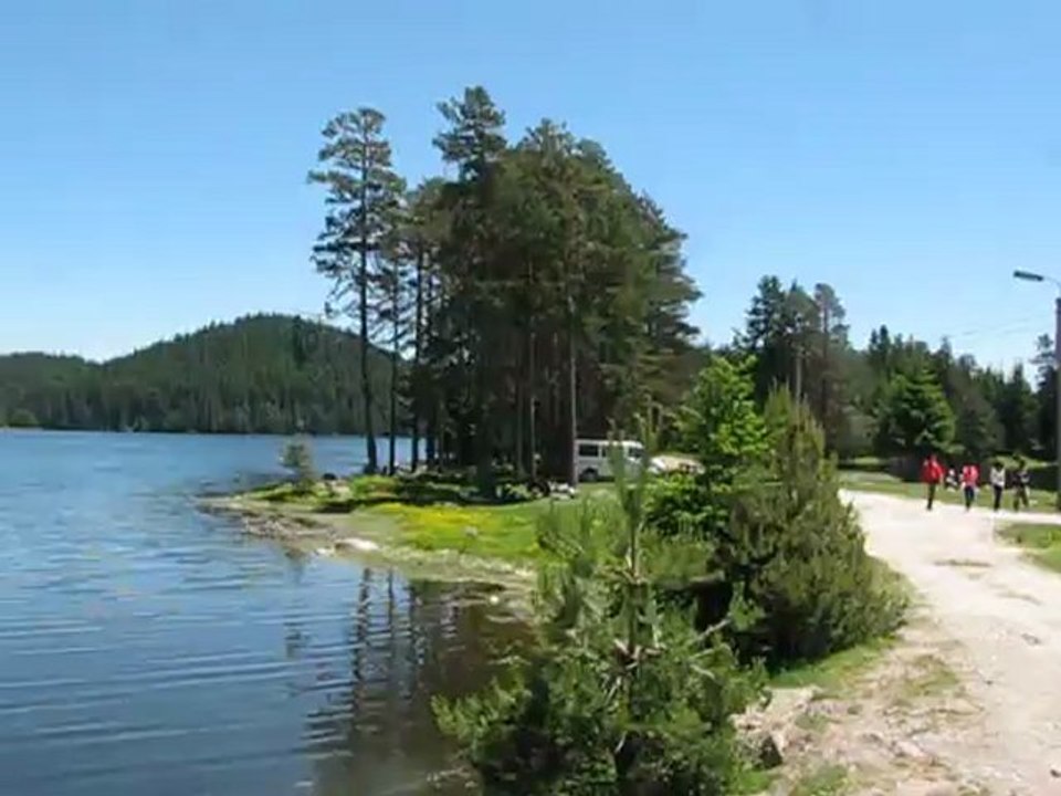 MVI_1465