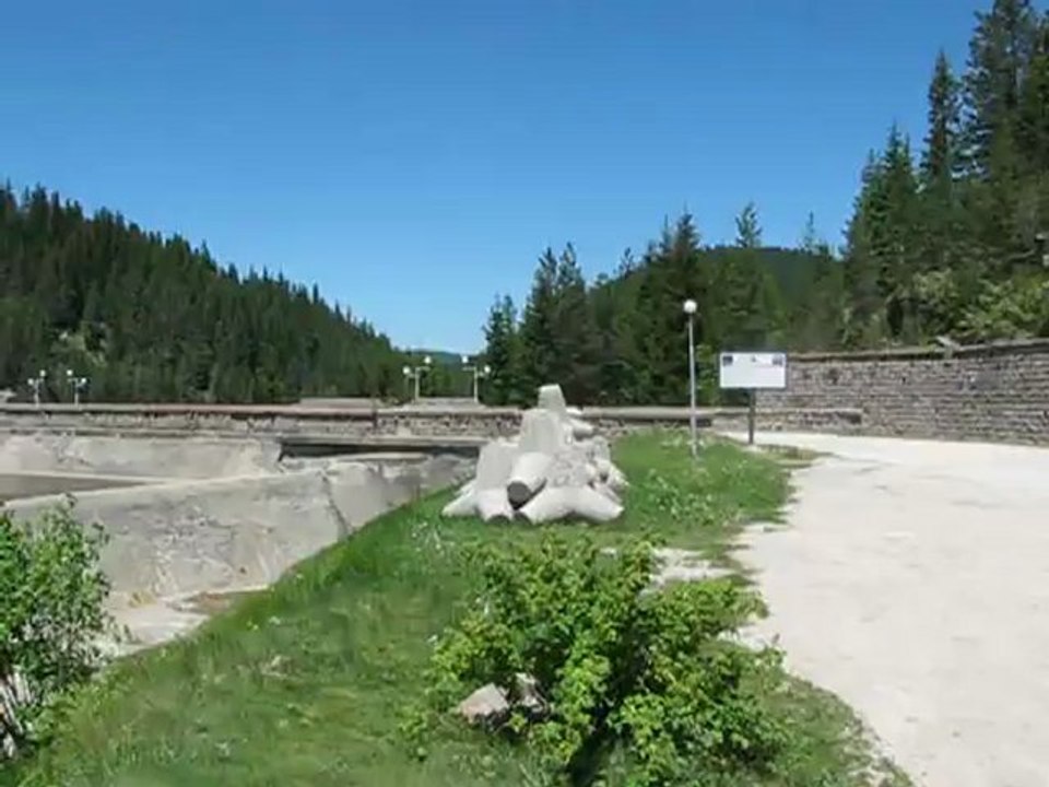 MVI_1499