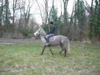 Essai de Rikita décembre 2009: au pas