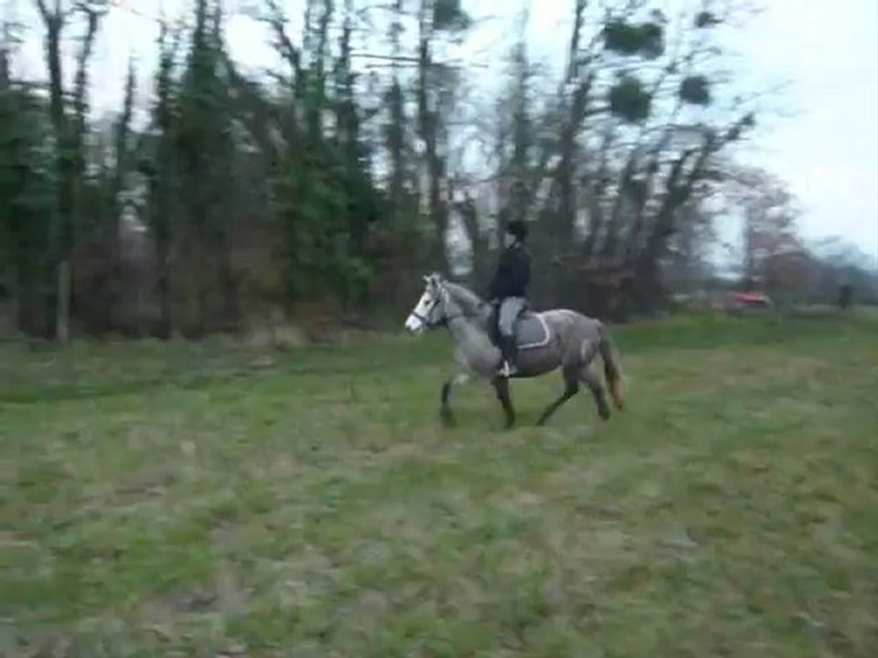 Essai de Rikita décembre 2009: au trot