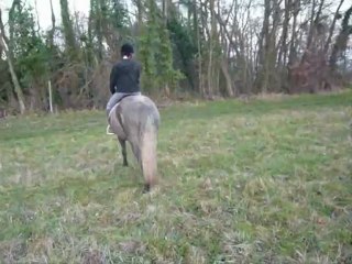 Essai de Rikita décembre 2009: au galop (1)