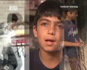 128-Переводчик с собачьего 2010