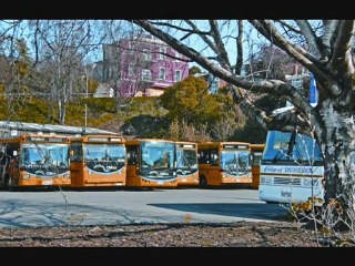 Travel Dunedin by Bus with Passenger Transport