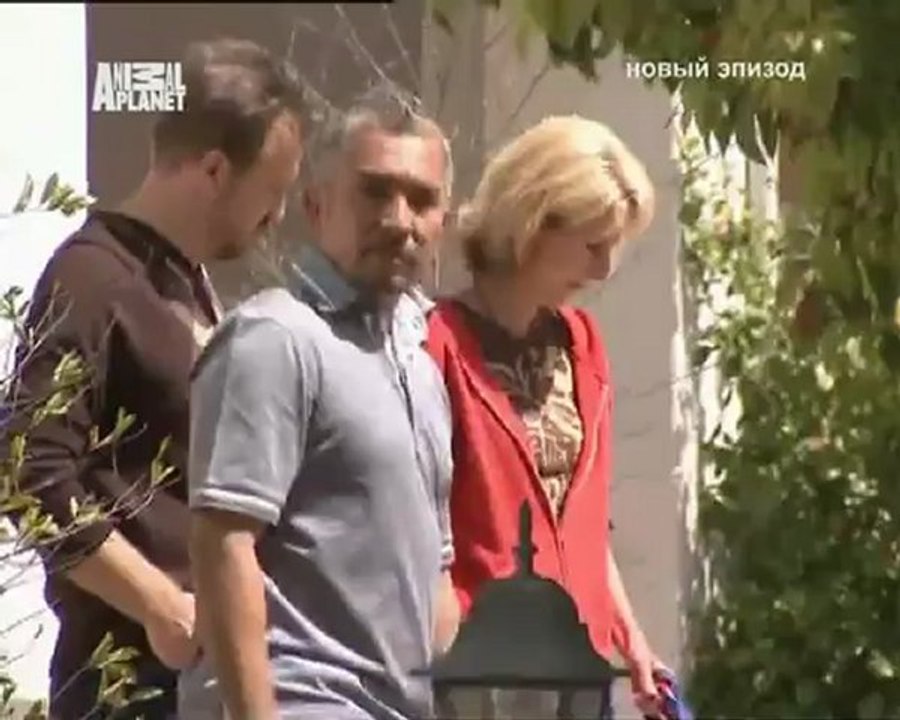129-Переводчик с собачьего 2010