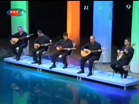 Gülşen KUTLU-Bir Çift Turna Gördüm