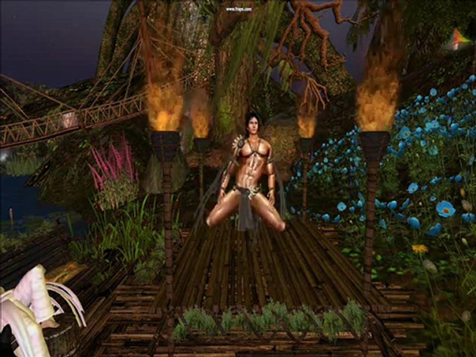 La danse d'Ookami sur les Monts brumeux