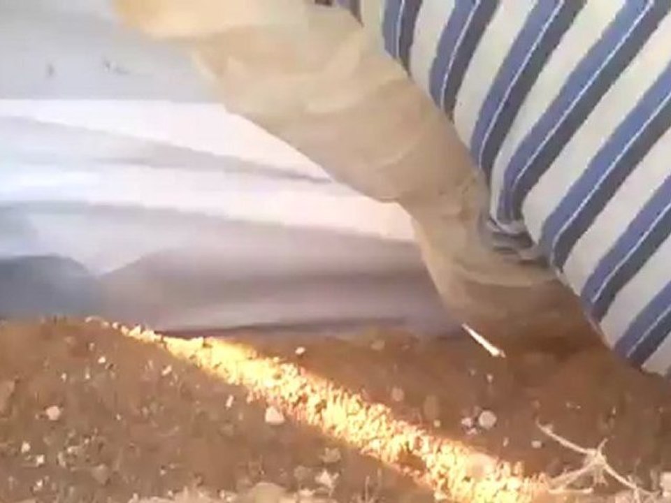 Syria فري برس  حماه المحتلة دفن الشهيد ايمن سعيد شعبان حماة حي جنوب الملعب 19 6 2012 Hama