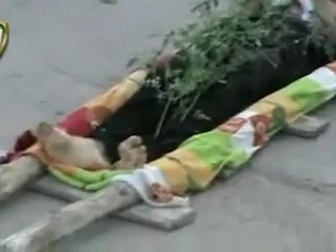 Syria فري برس ريف دمشق قطنا الصلاة على الشهيد نعيم عفيفة 18 6 2012 Damascus