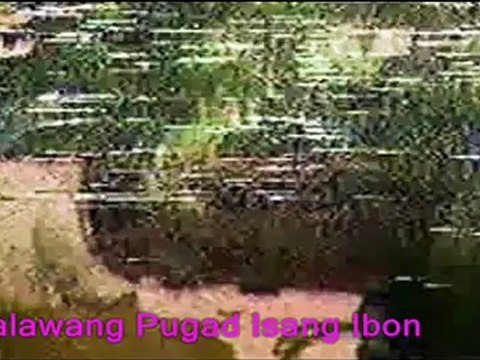 CLIPS - Anita Linda and Vilma Santos