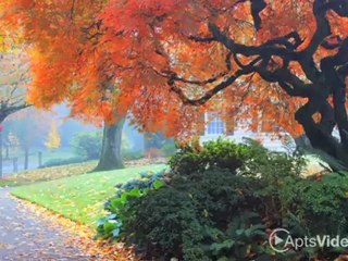 20 Pettygrove Apartments in Portland, OR - ForRent.com