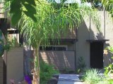The Grove Apartments in San Jose, CA - ForRent.com