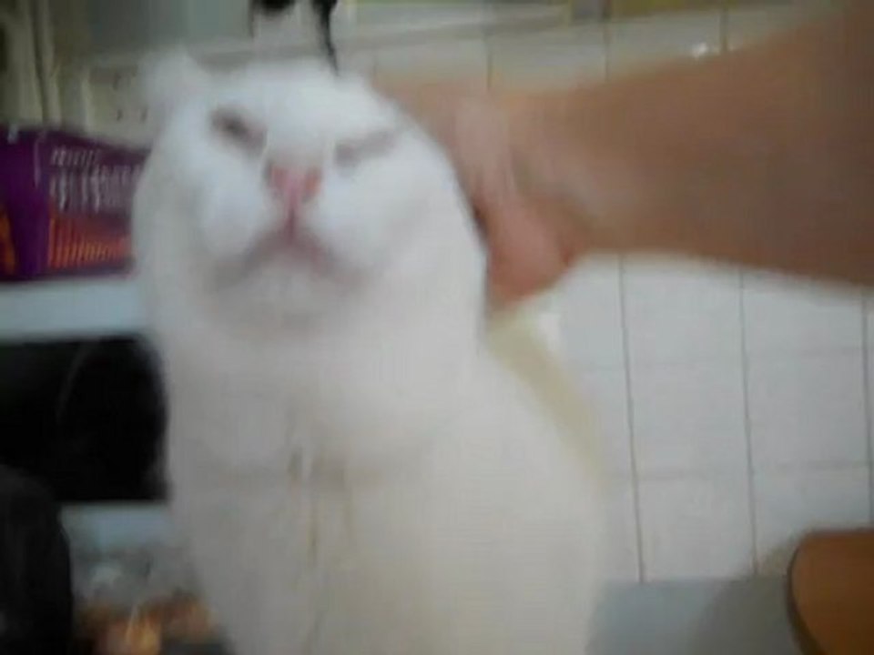 Epice
