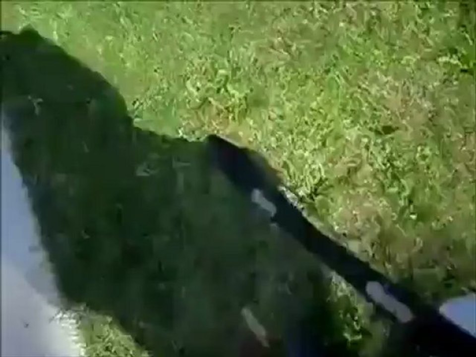 Ant(Crack Hoe)onTheSpot Geeked Up Dancing Gets hit By A Ice Cream Truck!