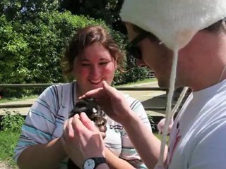 PIC NIC Géant 2 de Lapin Panda. Fouinette la Ponette