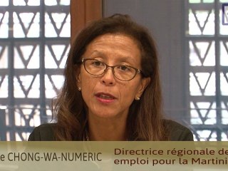 Questions à Mme Chong Wa Numeric - cese