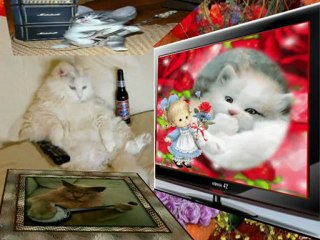 Oguz Yılmaz_Bir Tutam Karanfil (HD)